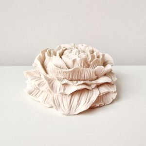 Alternative view of Pioen roos