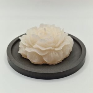 Alternative view of Plateau rond