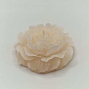 Alternative view of Kaars 'roos'